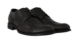 Scarpe formali Derby Wingtip in pelle marrone D&G-EU45/US12