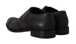 Scarpe formali Derby Wingtip in pelle marrone D&G-EU45/US12