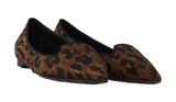 Ballerine leopardate in cotone marrone Dolce & Gabbana-EU37/US6.5