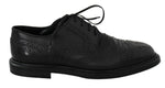 Scarpe eleganti vestito derby brogue in pelle nere - D&G - EU40 / US7