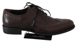 Scarpe eleganti derby brogue in pelle marroni - D&G - EU43 / US10