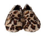 Scarpe basse con pantofole in shearling leopardato marrone-D&G-EU43 / US10