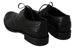 Scarpe eleganti in pelle nera con punta alare in Oxford-D&G-EU43 / US10