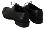 Scarpe eleganti in pelle nera con punta alare in Oxford-D&G-EU43 / US10