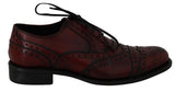 Scarpe oxford in pelle bordeaux rosse - Dolce & Gabbana - EU45 / US12