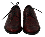 Scarpe oxford in pelle bordeaux rosse - Dolce & Gabbana - EU45 / US12