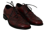 Scarpe oxford in pelle bordeaux rosse - Dolce & Gabbana - EU45 / US12