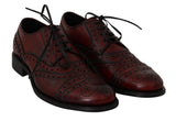 Scarpe oxford in pelle bordeaux rosse - Dolce & Gabbana - EU45 / US12