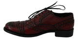 Scarpe oxford in pelle bordeaux rosse - Dolce & Gabbana - EU45 / US12