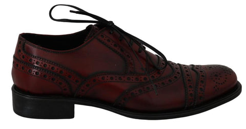 Scarpe oxford in pelle bordeaux rosse - Dolce & Gabbana - EU40 / US7