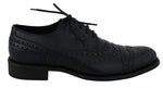 Scarpe formali Derby Wingtip in pelle blu - D&G - EU41.5 / US8.5