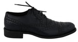 Scarpe formali Derby Wingtip in pelle blu-Dolce & Gabbana-EU43 / US10